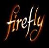 Firefly's Foto