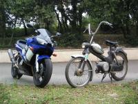 Moped_038.jpg